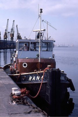 RANA 020485a.jpg
