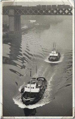 IMPETUS  MAXIMUS.jpg