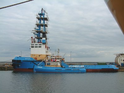 BATTLEAXE FORAGER.jpg