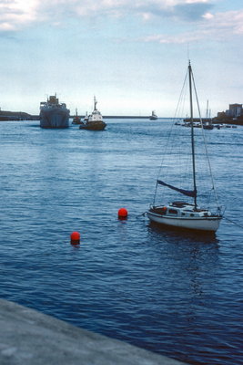 Sir Tristram, 14 June 1983 (1) _1.jpg