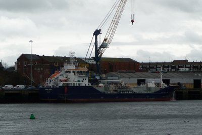 Sarnia Liberty.jpg