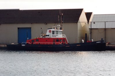 Caswell-2.jpg