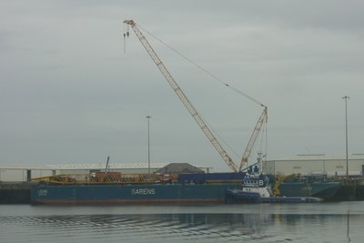 CIMG1818.JPG