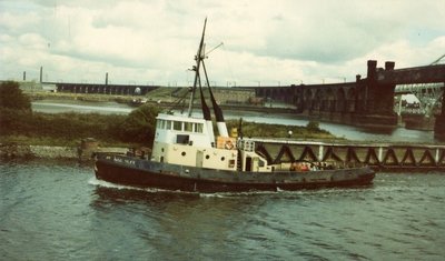 MSC_Ulex.jpg (215.33 KiB) Viewed 11935 times MSC_Ulex.jpg