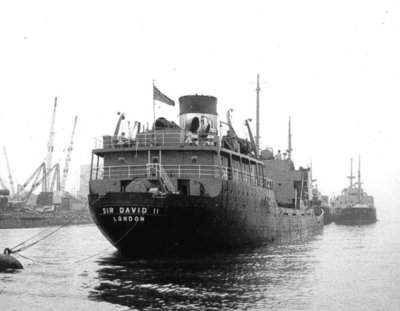 050328sirdavidii.jpg