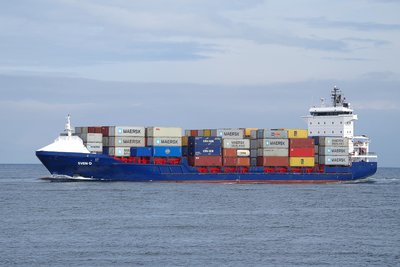 SVEN-D 010917c.JPG