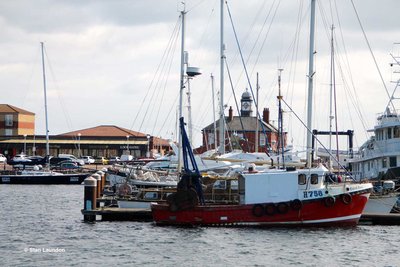 CAROL ANN (H758).jpg