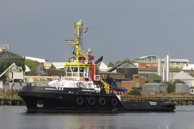 Multratug 14-3.jpg