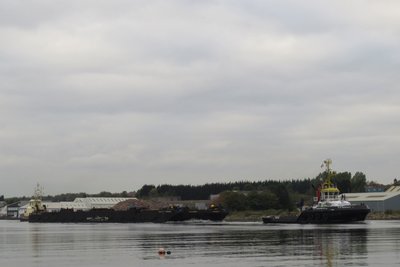 Roroponton4.jpg