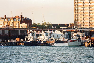 Loyal Mediator_1_1.jpg