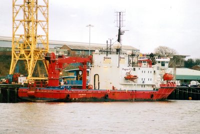 Skandi Inspector-2.jpg