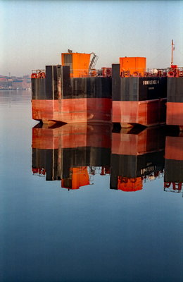 Bumble, 1 January 1993_1_1.jpg