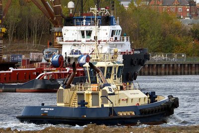 17597svitzer-sun121117x1.jpg