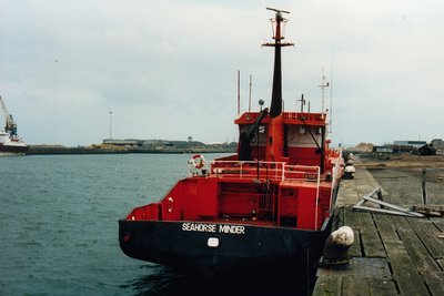 Seahorse Minder-2.jpg