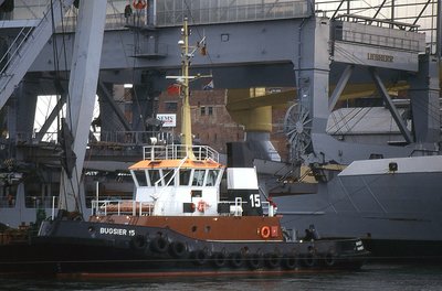 BUGSIER 15 261296b.jpg