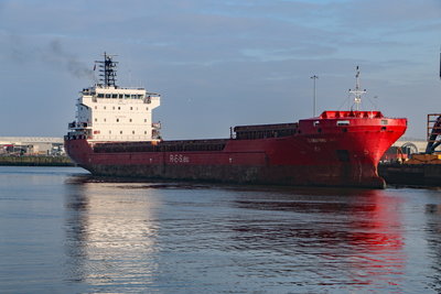 Simba, Sunderland, 12 January 2018 (7)_1.JPG