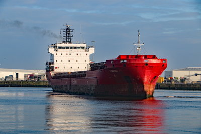 Simba, Sunderland, 12 January 2018 (9)_1.JPG