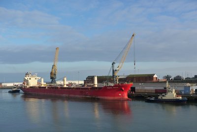 Federal Yoshino-3.jpg