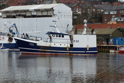 P1050450-JOY OF LADRAM.jpg