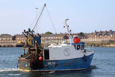 LAUREN LU (HL 10).jpg