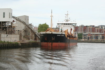 Sand Heron 4 June 2006 - 1_1.jpg