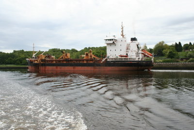 Sand Heron 4 June 2006 - 3_1.JPG