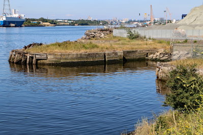 Northumberland Dock, 7 July 2018 (2)_2_1.JPG