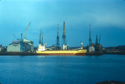 Singularity, 14 May 1977 new_1.jpg