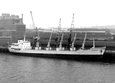 T - DALMATIA   1972-75.jpg