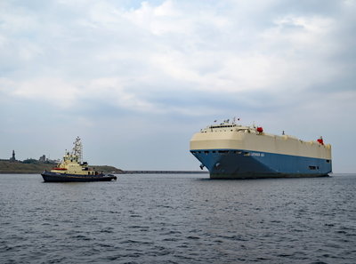 Forth & Lavender Ace, 26 July 2018 (2)_1.JPG