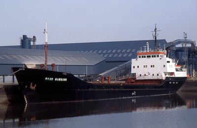 GOOD WARRIOR 170201a.jpg