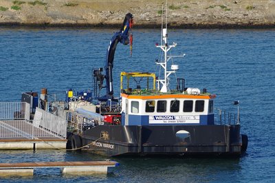 WALCON WARRIOR 020918d.JPG