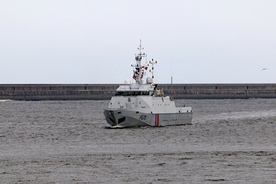 Pluvier, 9 November 2018 (1)_1.JPG