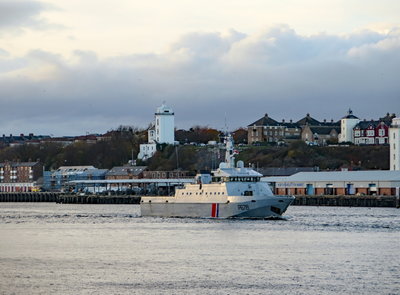 Pluvier, 12 November 2018 (2)_1.JPG