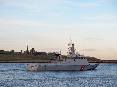 Pluvier, 12 November 2018 (9)_1.JPG