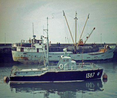 14 Reedwarbler Bridlington 8.67.jpg