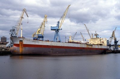 MAERSK DORSET 030896a.jpg