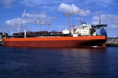 MAERSK CURLEW 290397b.jpg