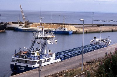 NEERMOOR 030896a.jpg