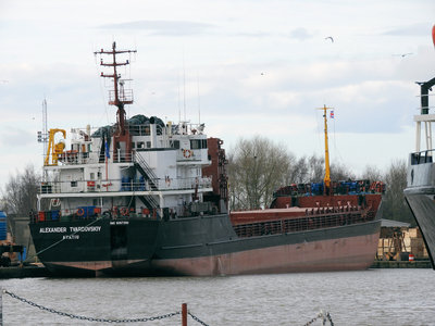 ALEXANDER_TVARDOVSKIY_210219Goole.jpg