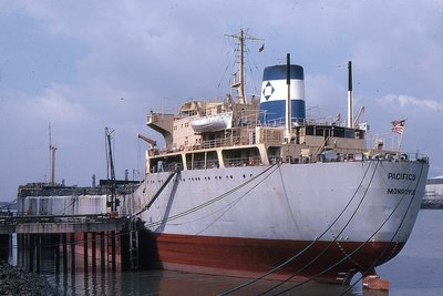 PACIFICO 070778a.jpg