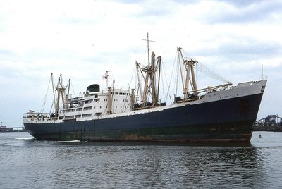 IKEJA PALM 0879a.jpg