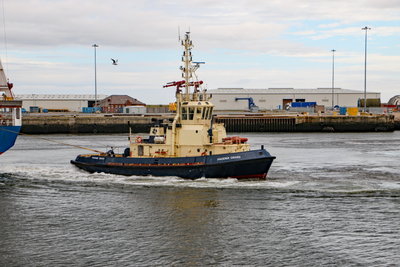 Phoenix Cross, 12 September 2019 (3)_1.JPG