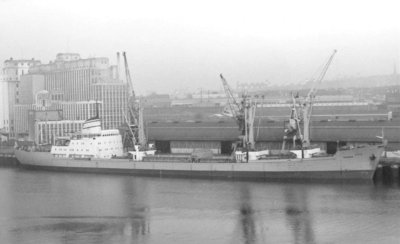 T - HADAR   JAN 1975.jpg