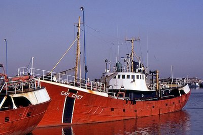 CAM CIVET 290892a.jpg