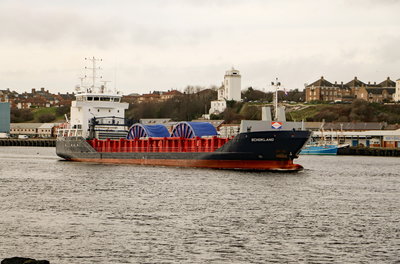 Schokland, 5 February 2020 (2)_1.JPG