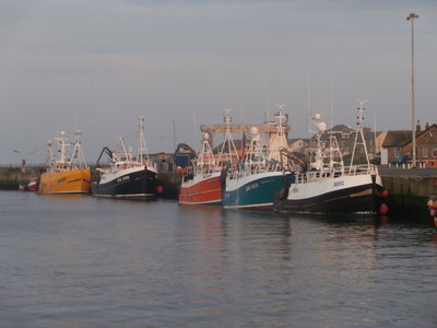 Amble Blyth fleet.JPG