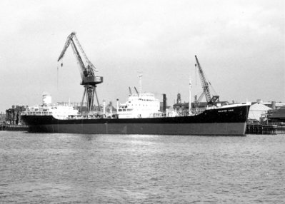 T - HALCYON COVE   1973.jpg