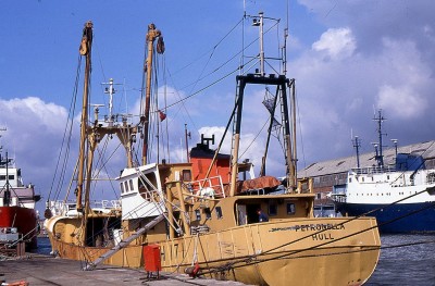 PETRONELLA 160791a.jpg