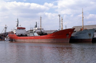 HAWTHORN 290691a.jpg